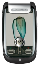 Motorola A1200 Ming