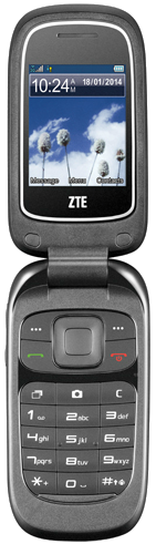 ZTE Z222