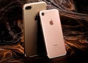 The iPhone 7 Ruled The Holidays